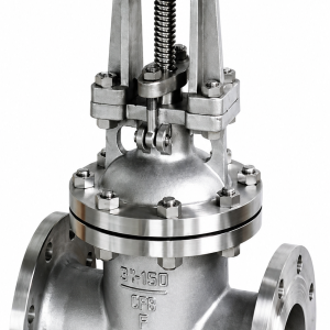 STAINLESS STEEL FLANGE GATE VALVE